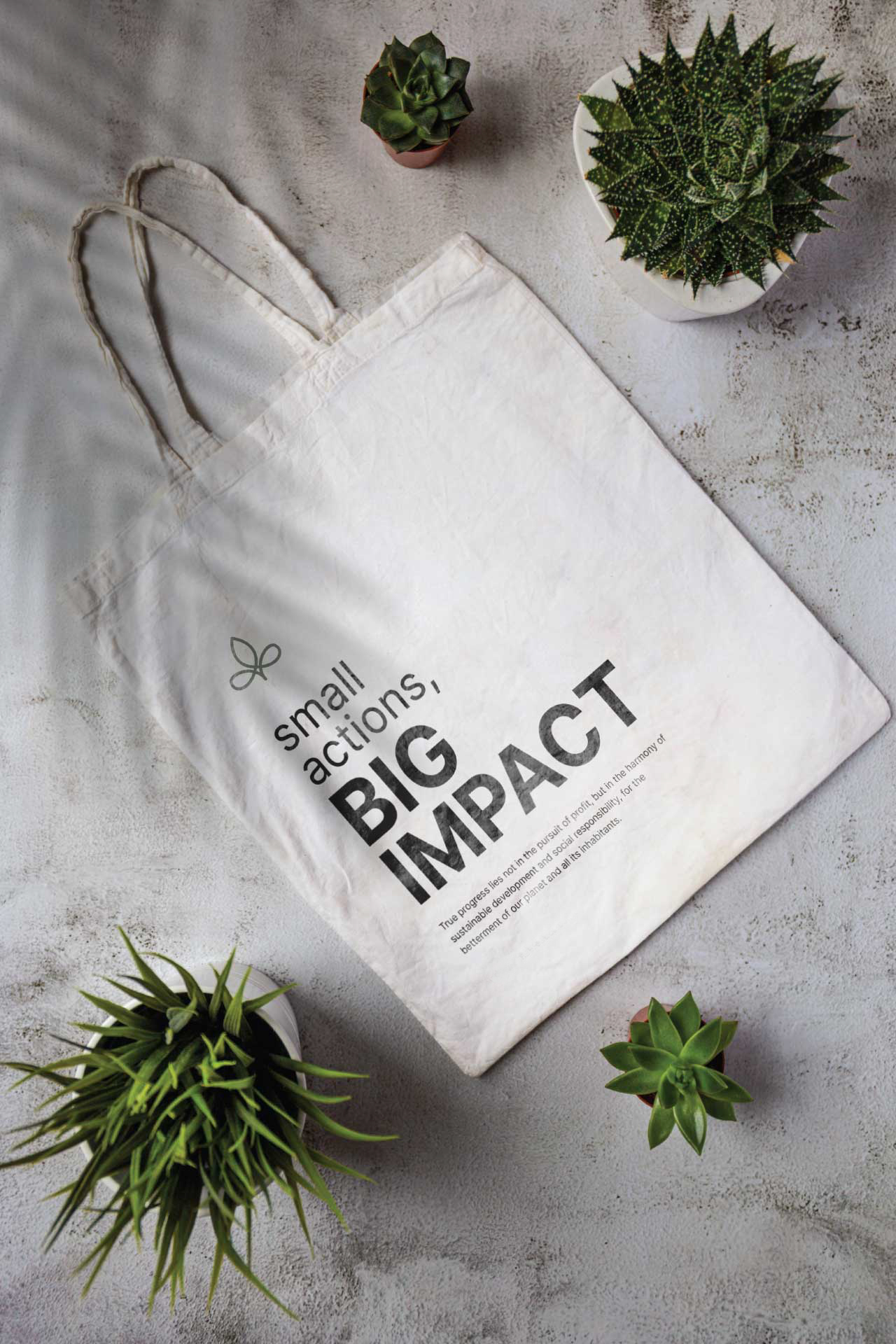 Dansereau Design studio offering branding and web design services in Montreal.